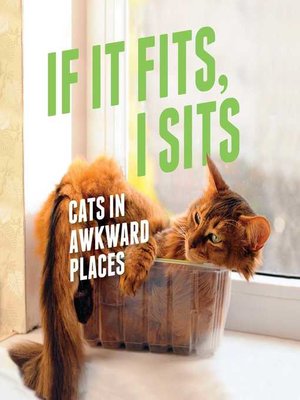 cover image of If It Fits, I Sits: Cats in Awkward Places
